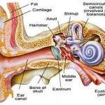Natural Home Remedies for Ear Infection